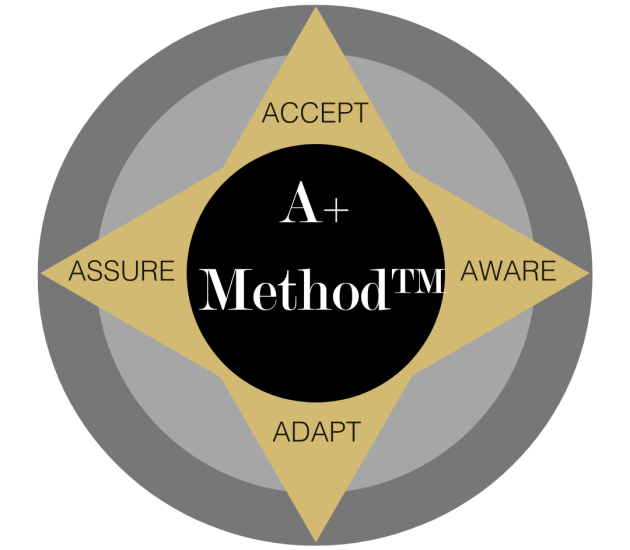 A+ Method Graphic (3)